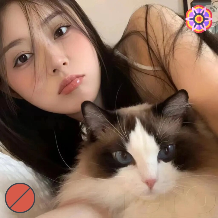校园用户评价 开云